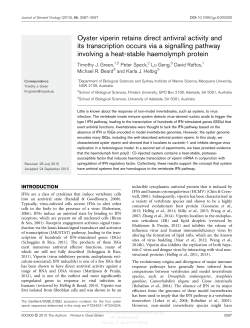 Oyster viperin retains direct antiviral activity and its transcription