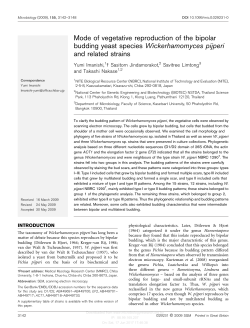 Mode of vegetative reproduction of the bipolar budding yeast