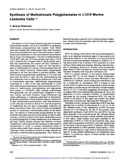 Synthesis of Methotrexate Polyglutamates in