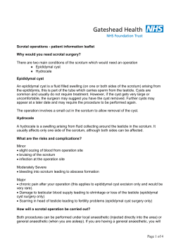 IL313 Scrotal Surgery - Gateshead Health NHS Foundation Trust