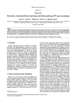 Structure, transmembrane topology and helix packing of P