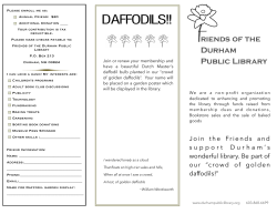friends brochure - Durham Public Library