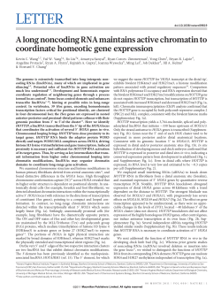 A long noncoding RNA maintains active chromatin to