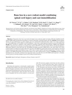 Bone loss in a new rodent model combining spinal cord injury and