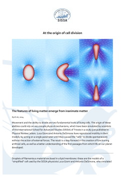 At the origin of cell division