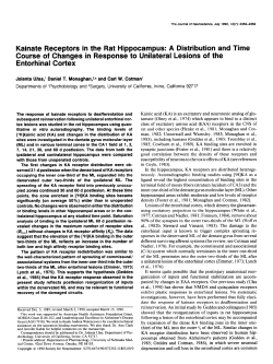 Kainate Receptors in the Rat Hippocampus