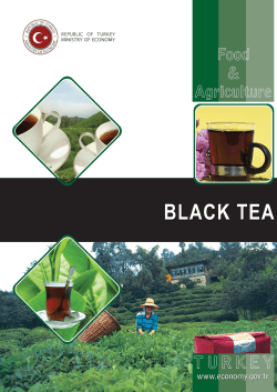 Black Tea