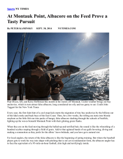 Sept 30th, 2014 - At Montauk Point, Albacore on the Feed Prove a