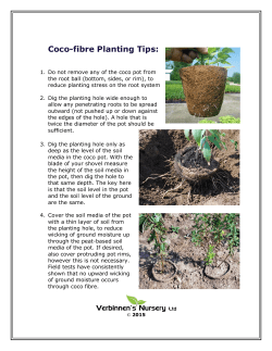 Coco-fibre Planting Tips: