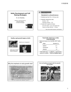Heifer Development and Calf Raising Strategies
