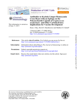 Implications for Vaccine Development and Other Carbohydrates