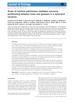 Scale of nutrient patchiness mediates resource partitioning between