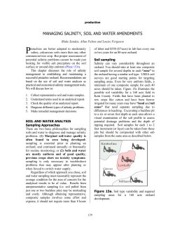 Managing salinity, soil and water amendments