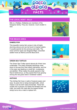 fabulously fluffy fact sheets