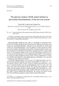 The glucose oxidase-DAB-nickel method in peroxidase