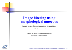 Image filtering using morphological amoebas