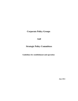 Corporate Policy Groups And Strategic Policy Committees