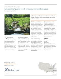 Greenspring Quarry South Tributary Stream Restoration