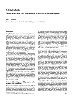 Characteristics of cells that give rise to the central nervous system