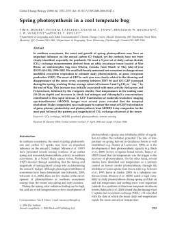 Spring photosynthesis in a cool temperate bog