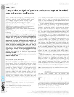 Comparative analysis of genome maintenance genes in