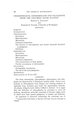 CHLOROPHAEITE, SIDEROMELANE AND PALAGONITE