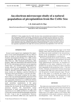 An electron microscope study of a natural population of picoplankton