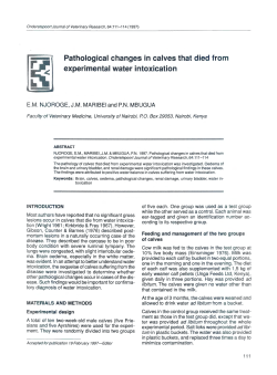 Pathological changes in calves that died from experimental water