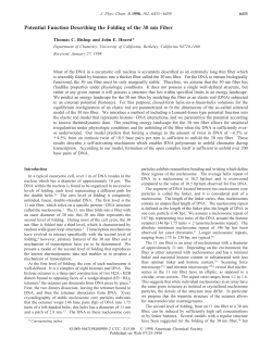 Potential Function Describing the Folding of the