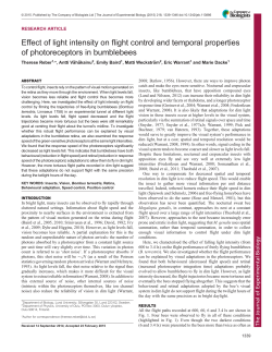Effect of light intensity on flight control and temporal properties of