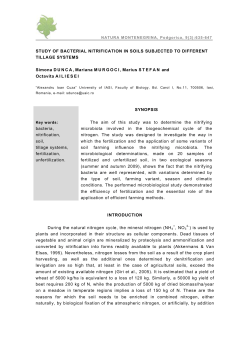 STUDY OF BACTERIAL NITRIFICATION IN SOILS SUBJECTED TO