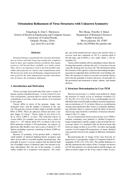 Orientation Refinement of Virus Structures with