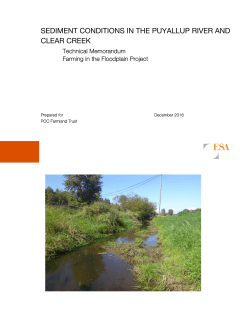 sediment conditions in the puyallup river and clear creek