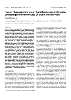 Role of RNA structure in non-homologous