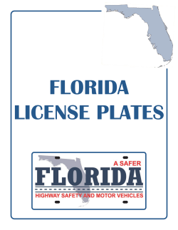Florida LIcense Plates
