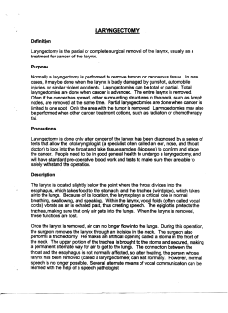 laryngectomy - Century Ear Nose And Throat Head