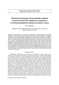 Meiofaunal emergence from intertidal sediment measured in the field