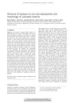 Influence of bacteria on cell size development