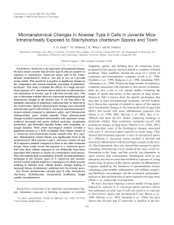 Microanatomical Changes in Alveolar Type II Cells in Juvenile Mice
