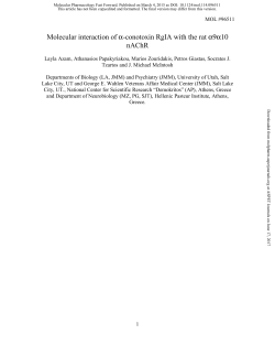 Molecular interaction of &alpha;-conotoxin RgIA with the rat &alpha;9&alpha;10 nAChR