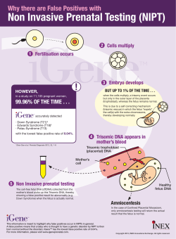 Non Invasive Prenatal Testing (NIPT)