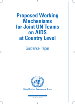 Proposed Working Mechanisms for Joint UN Teams on