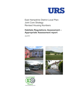 East Hampshire Core Strategy AA July 2013 word