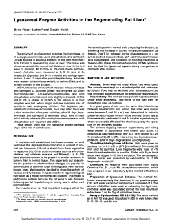 Lysosomal Enzyme Activities in the