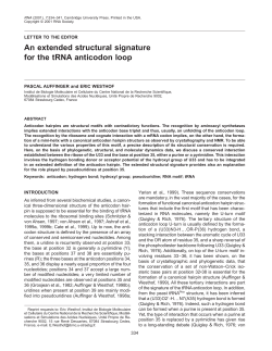 An extended structural signature for the tRNA anticodon loop