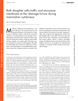Both daughter cells traffic and exocytose membrane at the cleavage