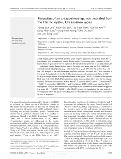 Tenacibaculum crassostreae sp. nov., isolated from the Pacific