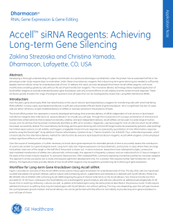 Accell&trade; siRNA Reagents: Achieving Long-term Gene
