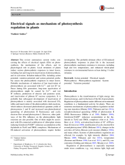 Electrical signals as mechanism of photosynthesis regulation