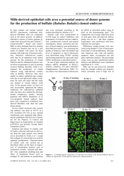 Milk-derived epithelial cells area a potential source of donor